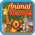 Learn Animal Sounds icône