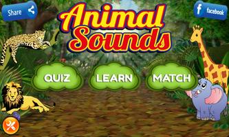 Learn Animal Sounds Affiche