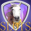 Slots Knight:Free Slot Machine