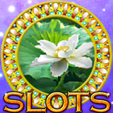 Slots 2017:Free Slot Machines biểu tượng