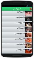 تتبع تطور الجنين-أسابيع الحمل capture d'écran 3