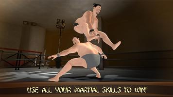 Sumo Wrestling Fighting 3D постер