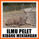 Pelet Kidang Menjangan APK