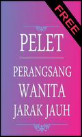 Pelet Perangsang Wanita Jarak Jauh 100% Work Affiche