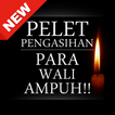 Pengasihan para wali