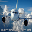 Flight Simulator Pilot 2016