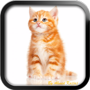 اصوات الحيوانات APK