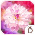 Kawai Widget Spring Flower иконка