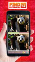 Find The Differences Panda Affiche