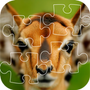 Animals Puzzle Game APK