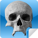 Horror Stickers - Ghosts APK
