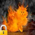 Fire Cat Lock