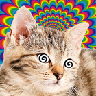 Cat Hypnotizer-icoon