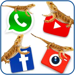 Lizard on social apps – funny prank 2018 APK download