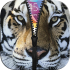 Tiger Zipper Wallpaper Theme biểu tượng