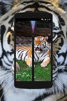 Tiger Zipper Wallpaper Theme Affiche