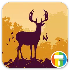 download Autumn ASUS ZenUI Theme APK