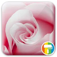 Rose ASUS ZenUI Theme APK download