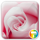 Rose ASUS ZenUI Theme ícone