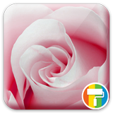 Rose ASUS ZenUI Theme أيقونة