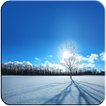Wallpapers for Asus phones