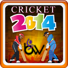 cricket 2014 иконка