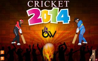 Poster cricket 2014