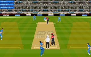 cricket 2014 اسکرین شاٹ 1