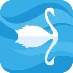 Скачать Toolwiz Reflection Effect APK