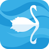 Toolwiz Reflection Effect Zeichen
