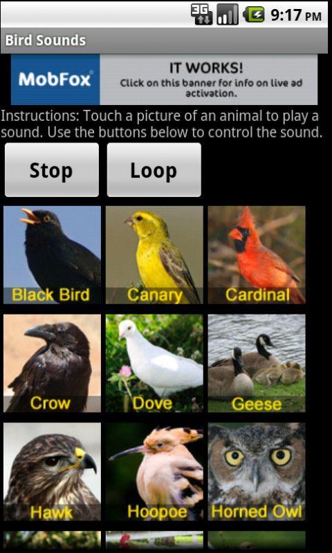 Приложение bird. Птицы на андроид. Звуки птиц. Птица андроид приколы. Звуки птиц на выбор.