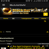 BlackHatWorld icône