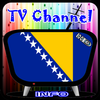 Info TV Channel Bosnia HD иконка