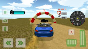 Crazy Car Driver screenshot 1