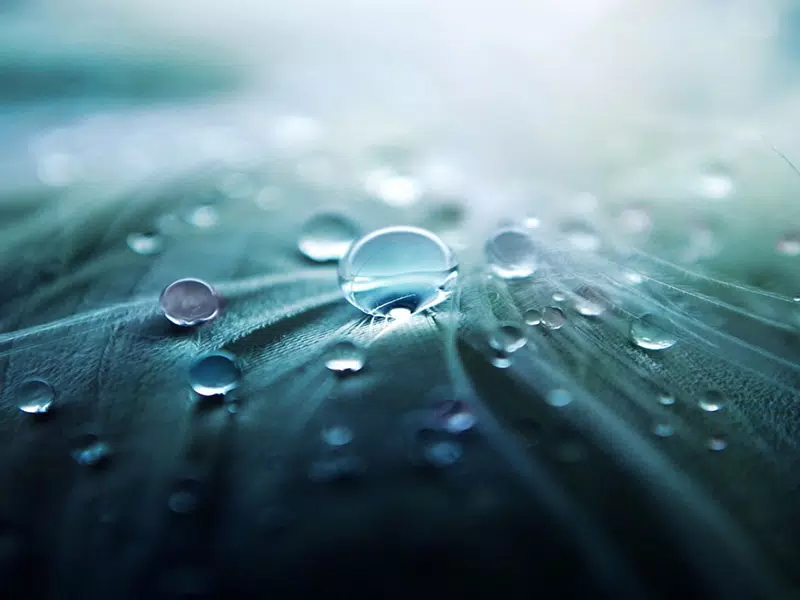 下载雨水滴动态壁纸的安卓版本