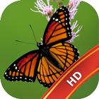 Butterfly Live Wallpaper HD icon