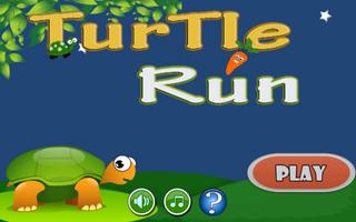 Turtles Run Affiche
