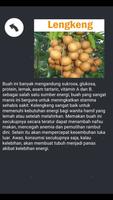 Buah dan Manfaatnya capture d'écran 3