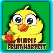 Bubble Fruit Harvest