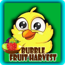 Bubble Fruit Harvest APK