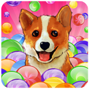 Bubble Puppy Marble Shooter APK