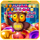 Bubble Owl Shooter Game 图标