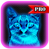 Ultraviolet night vision