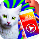 Cat translator - prank app APK