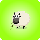 sheep Mady icône