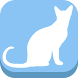 Найди пару | Find Couple