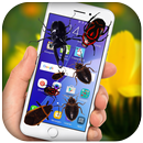 Bug on screen-Bug in phone-Bug Walking in Phone APK