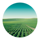 EDDMapS IPM APK
