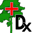 Forest Tree Diagnosis APK