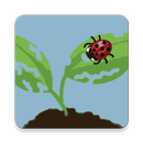 EDDMapS BioControl APK
